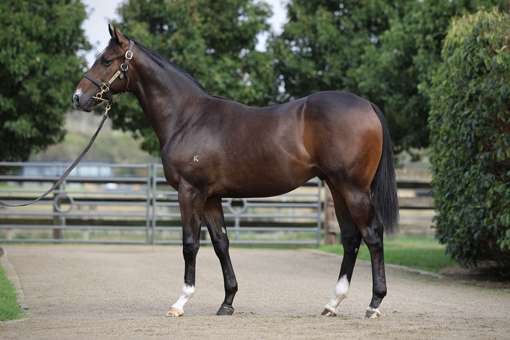 Lot 80