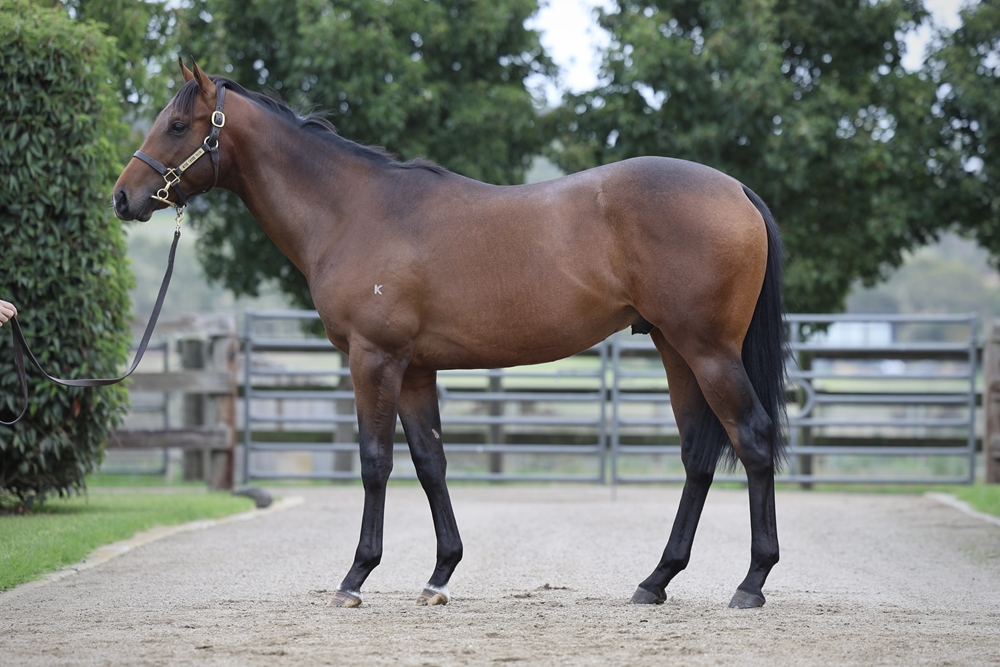 lot 322